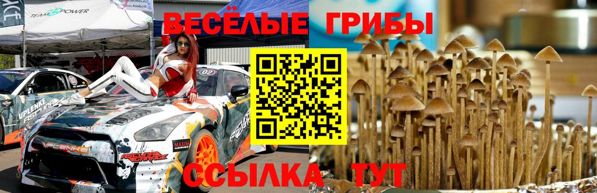 Галлюциногенные грибы Magic Shrooms  Вход с VPN  Галлюциногенные грибы Cubensis  Острогожск 