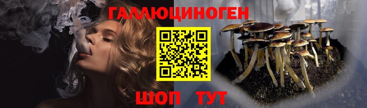 Псилоцибиновые грибы мицелий Острогожск